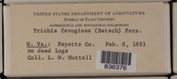 Image Associated With the Occurence